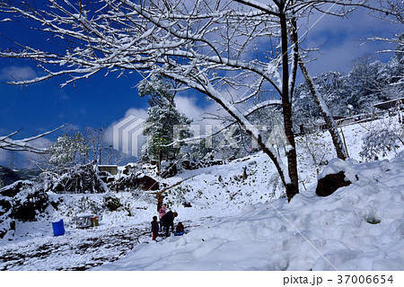 雪景 銀世界 雪景色 37006654
