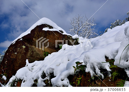 雪景 銀世界 雪景色 37006655