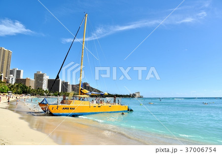 ハワイの休日 37006754