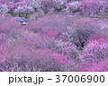 いなべ市農業公園 37006900