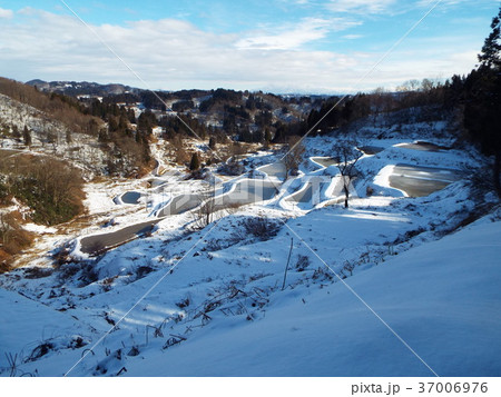 蒲生の棚田 37006976