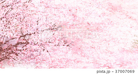 桜 花 春 背景 のイラスト素材