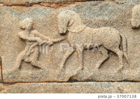 The Horseman 37007138