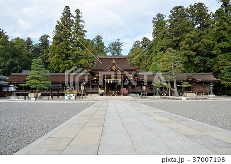 多賀大社 37007198