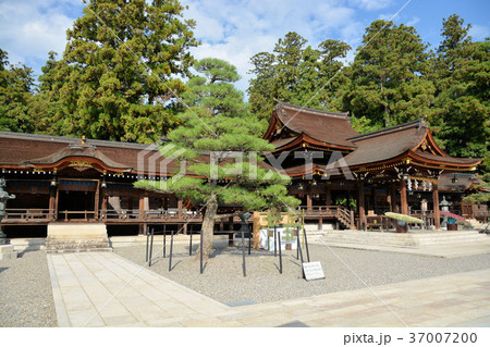 多賀大社 37007200