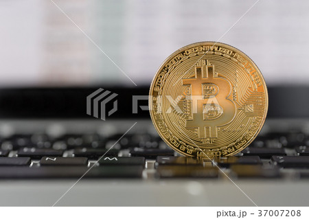 coin bitcoin on the laptop keyboard. the concept coin bitcoin on the laptop keyboard. the concept 37007208