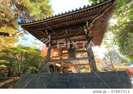 東漸寺の秋 (千葉県松戸市とうぜんじ)の鐘楼 東漸寺の秋 (千葉県松戸市とうぜんじ)の鐘楼 37007311