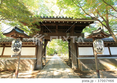 東漸寺の総門　（千葉県松戸市とうぜんじ） 37007466