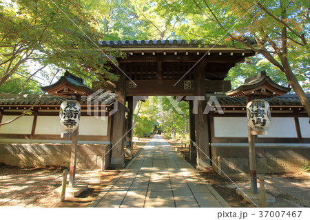 東漸寺の総門　（千葉県松戸市とうぜんじ） 37007467