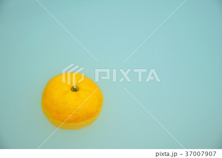 冬至の柚子湯 37007907