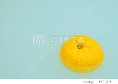 冬至の柚子湯 37007911