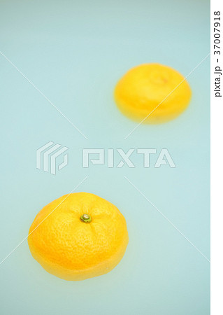 冬至の柚子湯 37007918