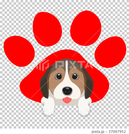 日の出と犬 37007952