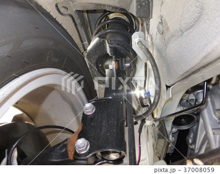 ストラット 37008059