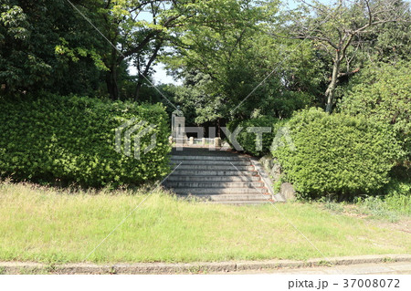 森下博翁像（沼名前神社境内） 37008072