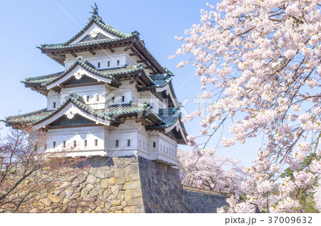 弘前公園の桜 弘前公園の桜 37009632