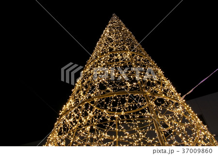 ポルトヨーロッパ内クリスマスイルミネーション 37009860