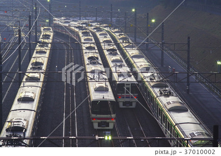 早朝の若葉台検車区の京王線 早朝の若葉台検車区の京王線 37010002