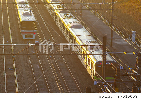 早朝の若葉台検車区の京王線 37010008
