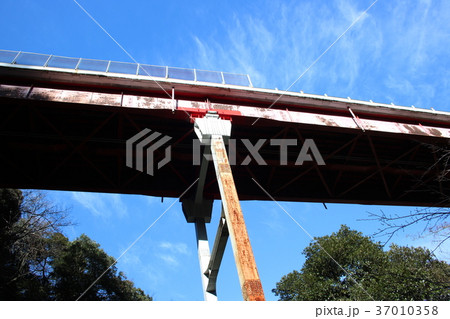 箱根新道の高架橋(箱根湯本エリア) 箱根新道の高架橋(箱根湯本エリア) 37010358