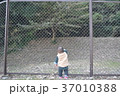 フェンス越しの子 37010388