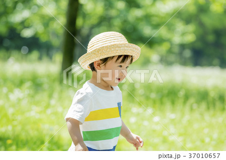 新緑の公園で遊ぶ男の子 37010657