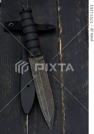 A large military knife with a plastic case. 37011263