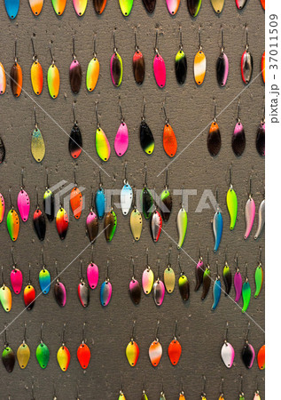 Hard and colorful baits for catching predator. 37011509