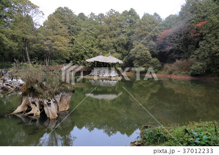 阿里山森林遊楽区・姉妹潭 阿里山森林遊楽区・姉妹潭 37012233