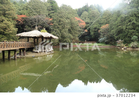 阿里山森林遊楽区・姉妹潭 阿里山森林遊楽区・姉妹潭 37012234