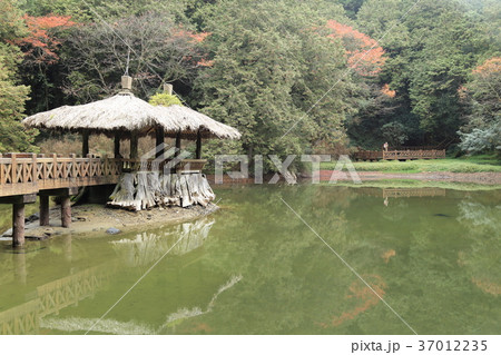 阿里山森林遊楽区・姉妹潭 阿里山森林遊楽区・姉妹潭 37012235