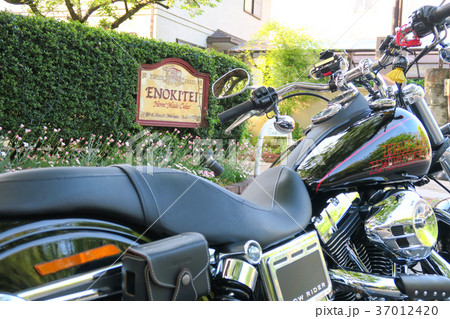 横浜山手 with Harley4 37012420