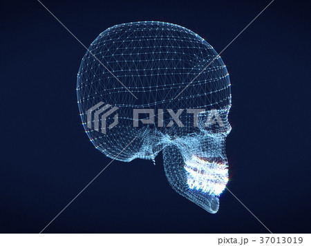 shining dots and line of skull 37013019