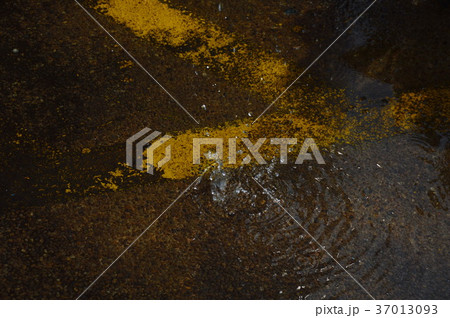 rain drop and splashing on street in rainy day rain drop and splashing on street in rainy day 37013093