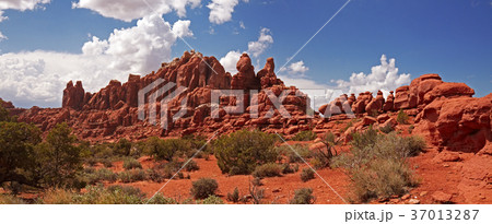 Desert panorama 37013287