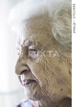 closeup face of a senior woman closeup face of a senior woman 37013668
