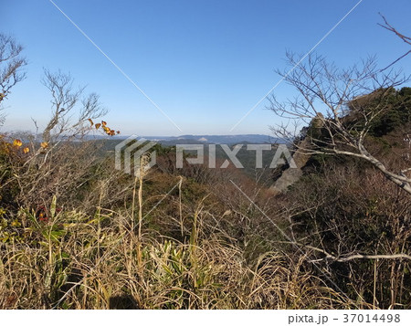 鋸山の自然 鋸山の自然 37014498