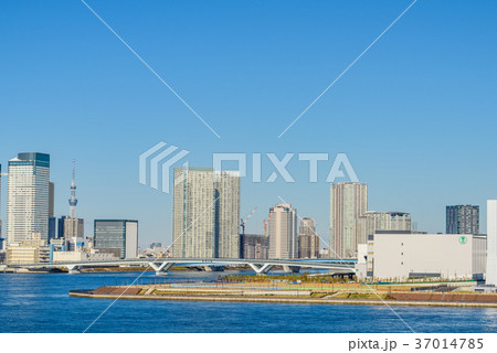 東京の都市風景 37014785