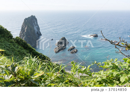 島武意海岸 37014850