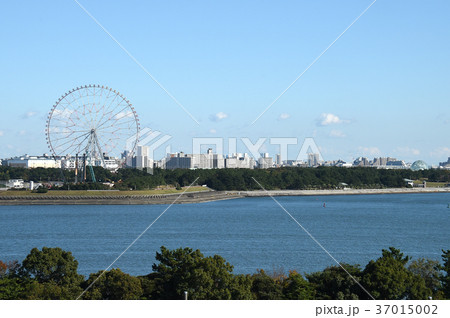 東京都江東区新木場より葛西臨海公園方面をのぞむ 37015002