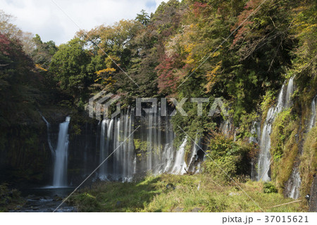 富士宮市/白糸ノ滝 富士宮市/白糸ノ滝 37015621
