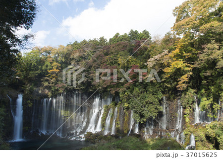 富士宮市/白糸ノ滝 37015625