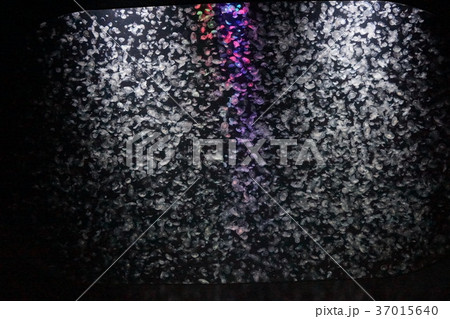 くらげの水族館 くらげの水族館 37015640