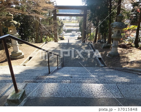 常磐神社から千波湖へ 常磐神社から千波湖へ 37015848