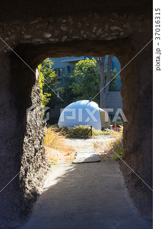 大森貝塚遺跡庭園 37016315