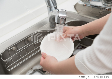 洗い物をする女性 37016349