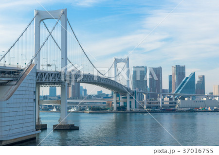 レインボーブリッジと港区のビル群 レインボーブリッジと港区のビル群 37016755