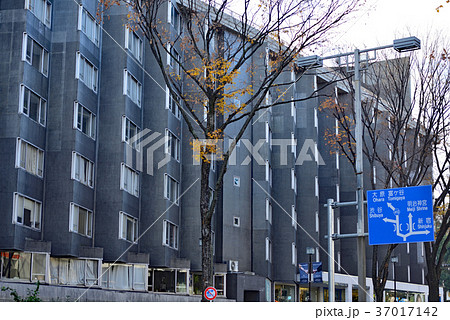 街風景　原宿表参道 37017142