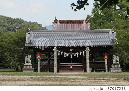 櫻山神社(吉備津神社の境内社) 櫻山神社(吉備津神社の境内社) 37017238