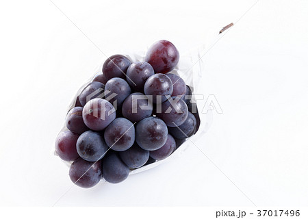 大きなピオーネ　ぶどう 37017496